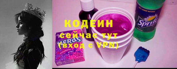 сатива Инсар